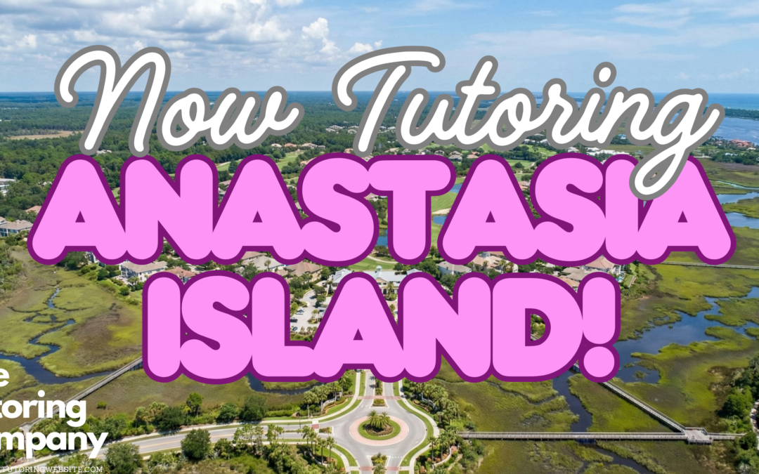 The Island Student’s Guide: Surf, Sun, and Study on Anastasia Island