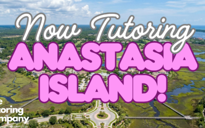 The Island Student’s Guide: Surf, Sun, and Study on Anastasia Island