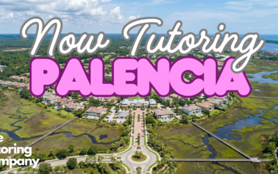 The Palencia Student’s Guide: Academic Excellence Behind the Gates of 32095