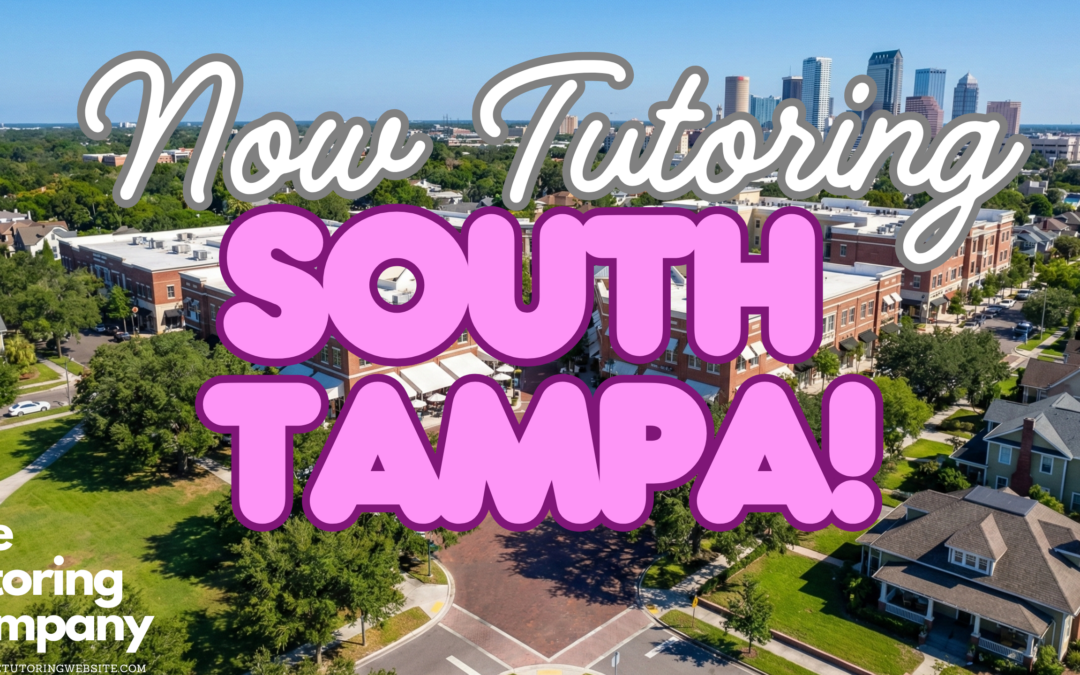 The South Tampa Student’s Guide: Surviving Plant High, Hyde Park Distractions & The Crosstown