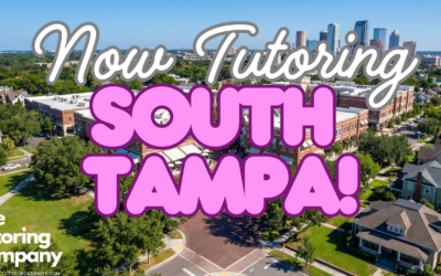 The South Tampa Student’s Guide: Surviving Plant High, Hyde Park Distractions & The Crosstown