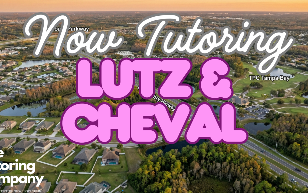 The Cheval & Lutz Student’s Guide: Surviving Steinbrenner High, Van Dyke Traffic & The “Gated” Life