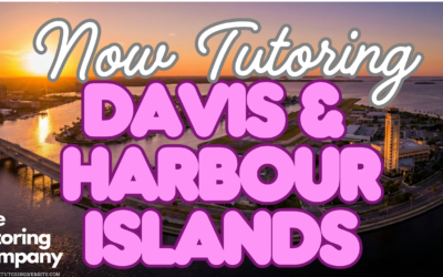The Davis Islands Student’s Tutoring Guide: Surviving the Plant High Pipeline & Bridge Traffic