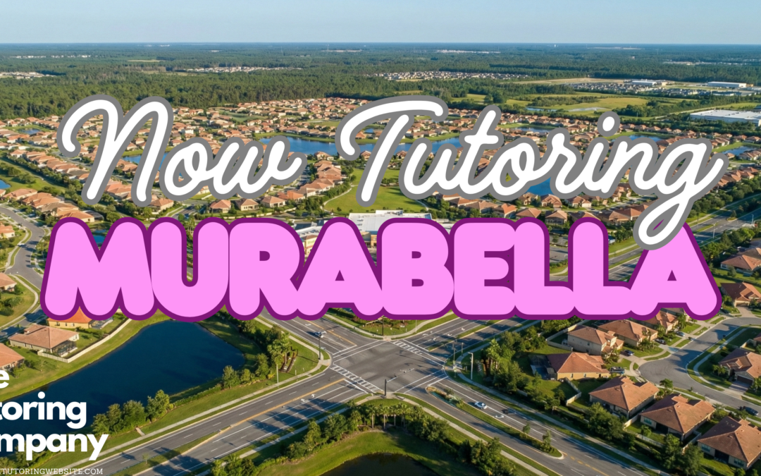 The Murabella & Tocoi Creek Student’s Tutoring Guide: Surviving SR-16 Traffic, “Toro” Territory & The Growth Boom