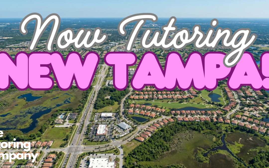 The New Tampa & Wesley Chapel Tutor Guide: Bruce B. Downs, Wiregrass Academics & The Lagoon Life