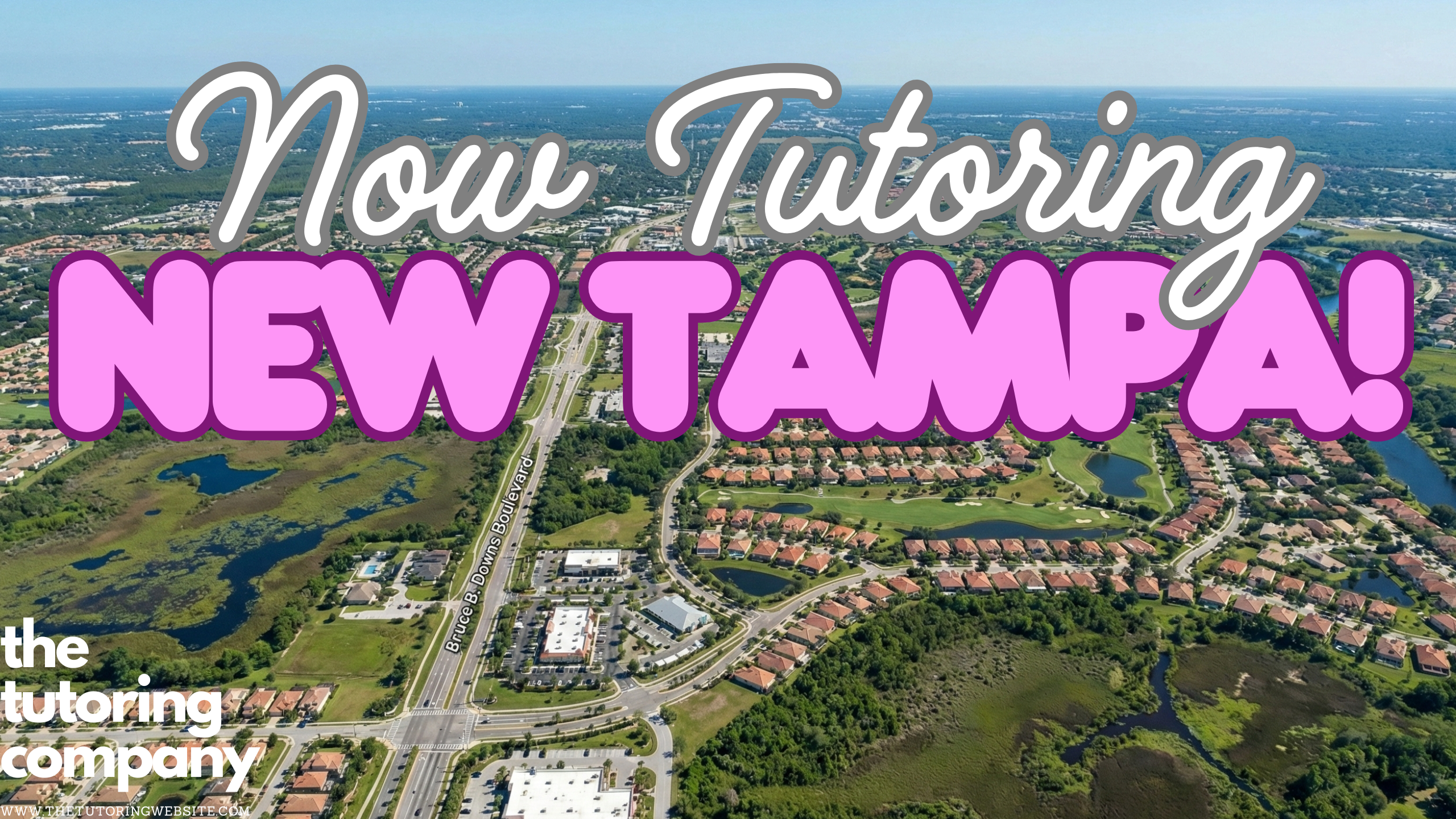 The palm-lined entrance to The Shops at Wiregrass with the fountain.