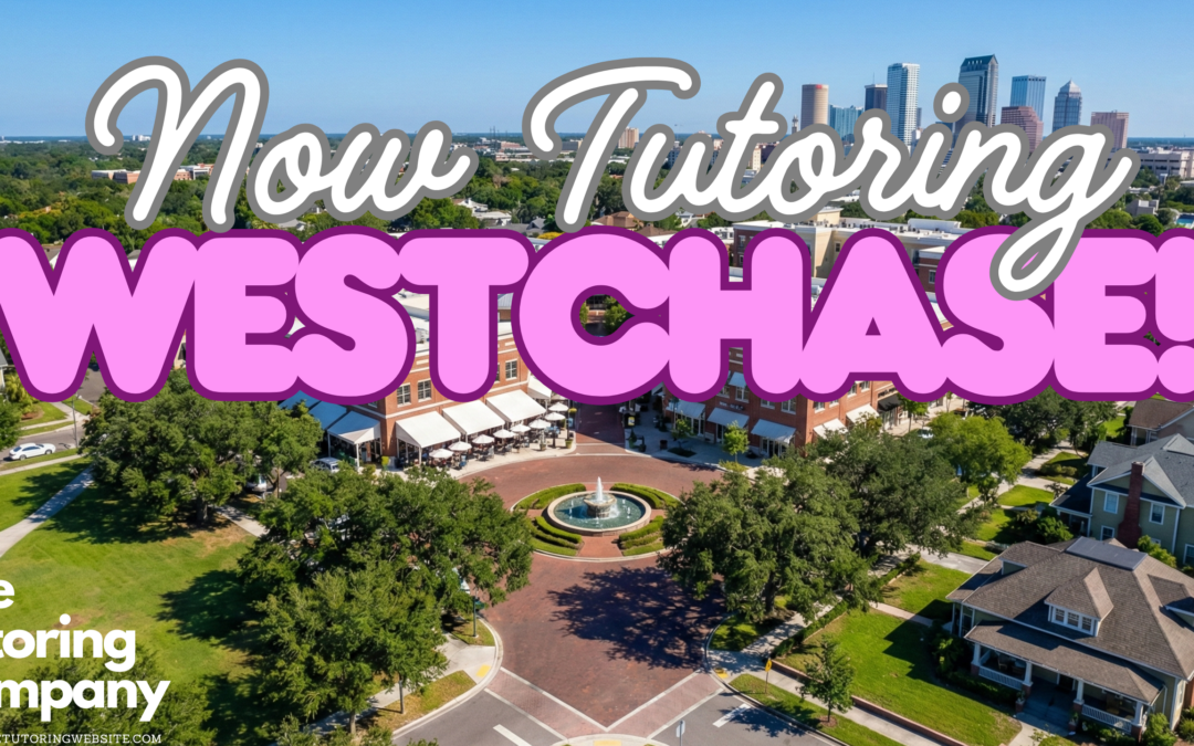 The Westchase Student’s Guide: Navigating Alonso High, Linebaugh Traffic & Village Life